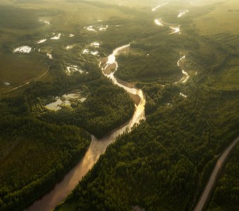 Прекрасная Сигикта