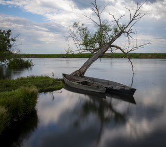 Парковка