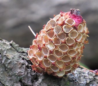 Чистая работа! Мастер не установлен