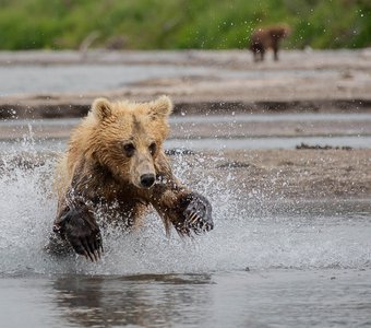 На удачу