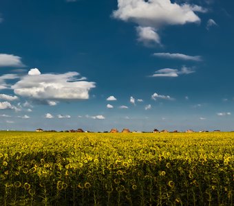 Планета тысячи солнц