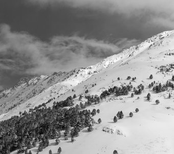 Солнечные склоны
