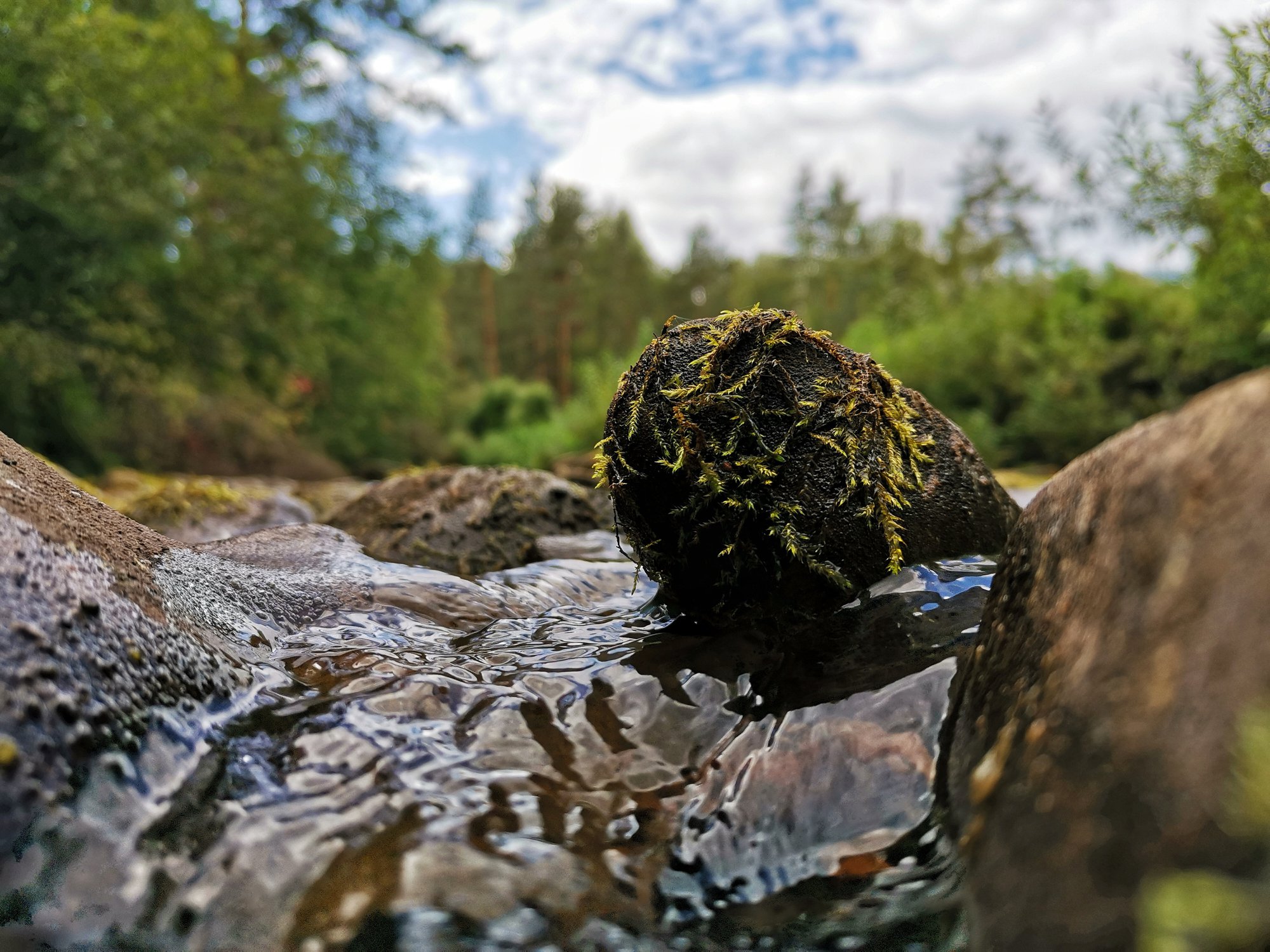 Речной страж