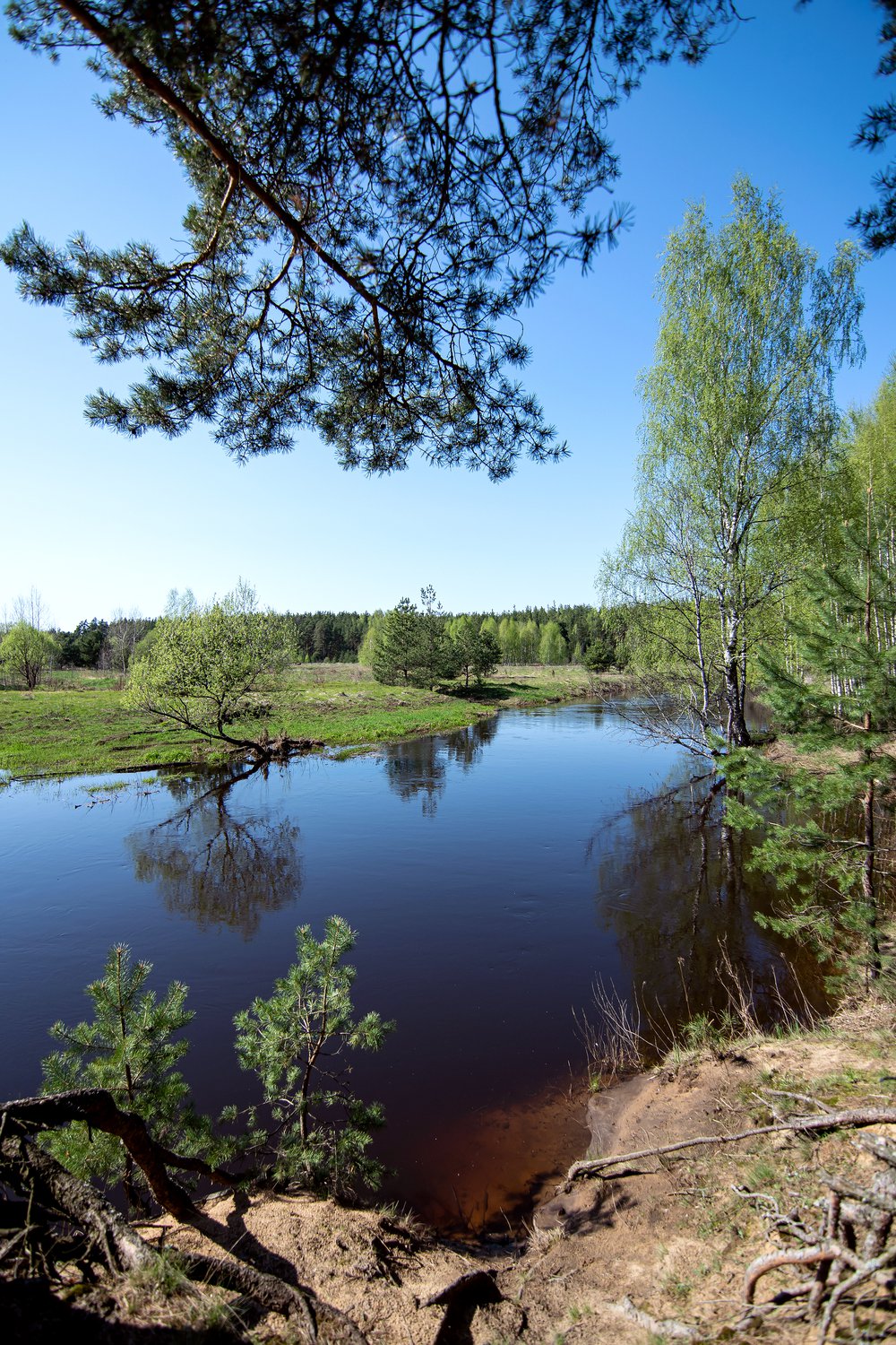 Речка Гуслица