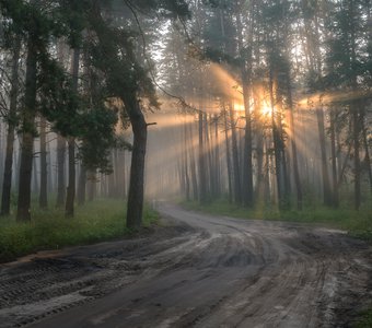 "Луч солнца золотого"