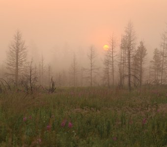 Дым от пожаров в Якутии
