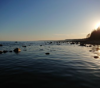 Водный сад камней