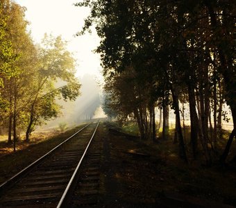 Туманное утро близ железной дороги.