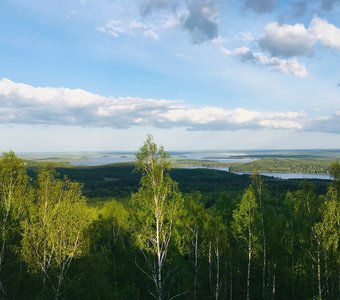 Вид с горы "Волчиха" на Волчихинское водохранилище.
