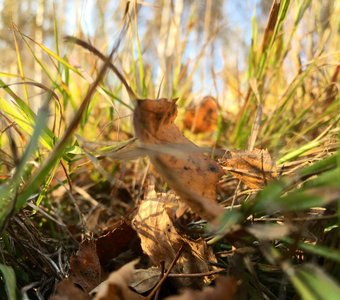 Не так высоко..