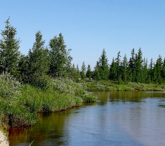 Речка заполярья летом