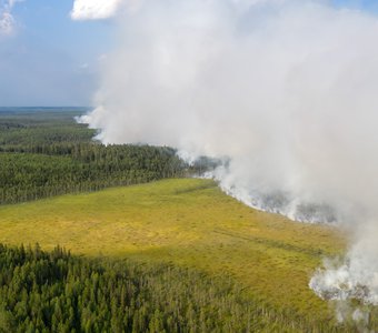 Лесные пожары - разрушительная сила природы.