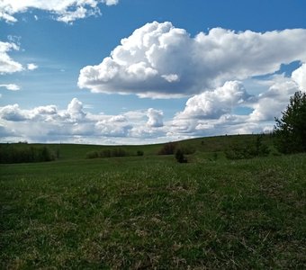 Бескрайние поля