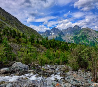 У ручья Зеленый рядом с Кучерлинским озером на Алтае