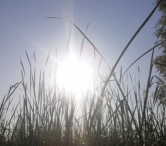 Солнышко выглянуло