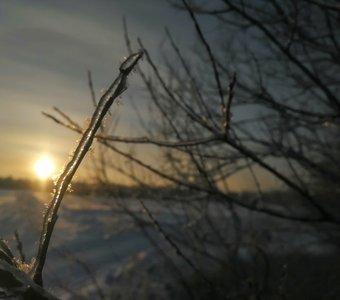 Красота зимы ❄