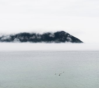 Остров, парящий в тумане