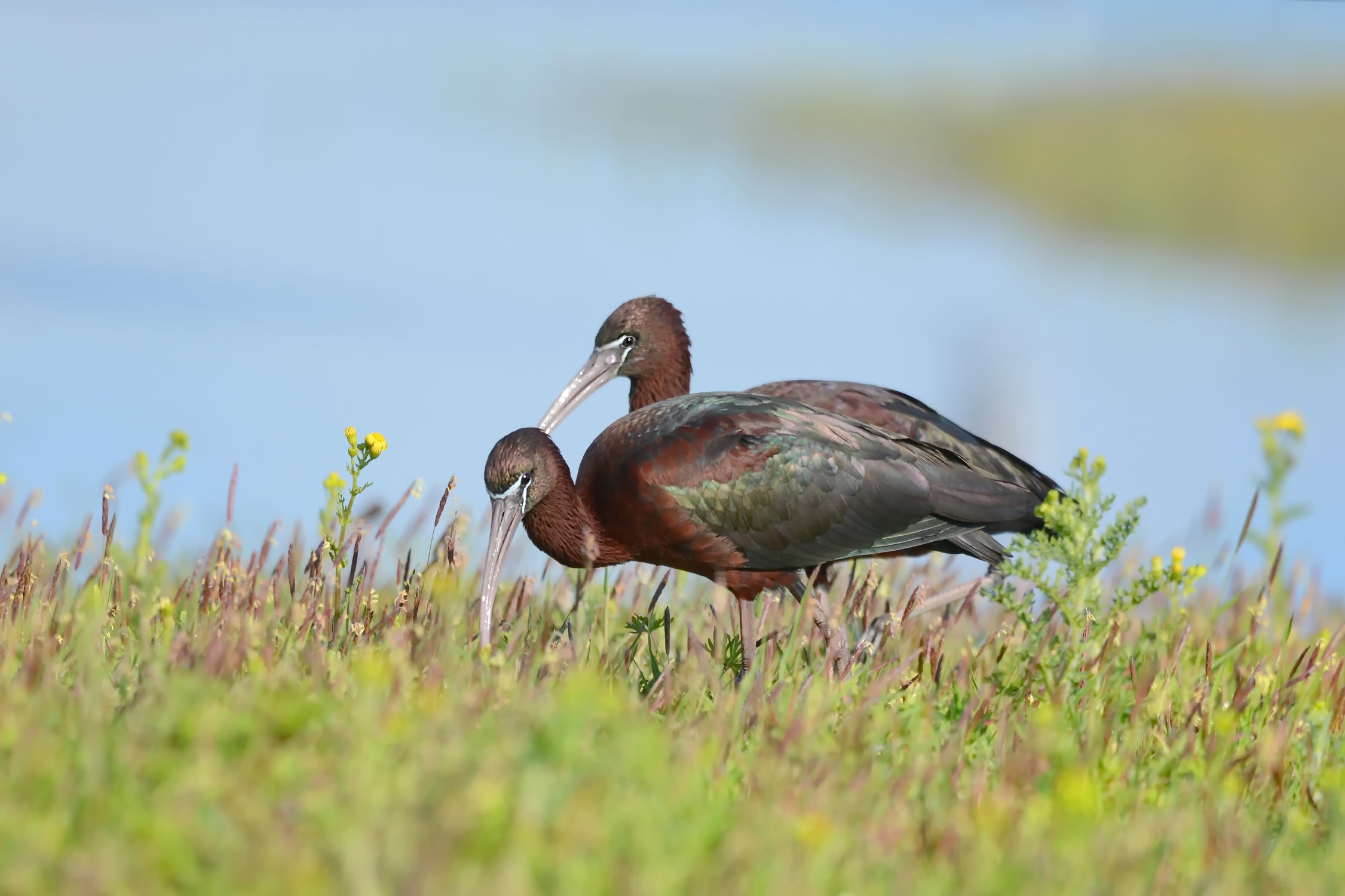 Хорошо, когда ты не один