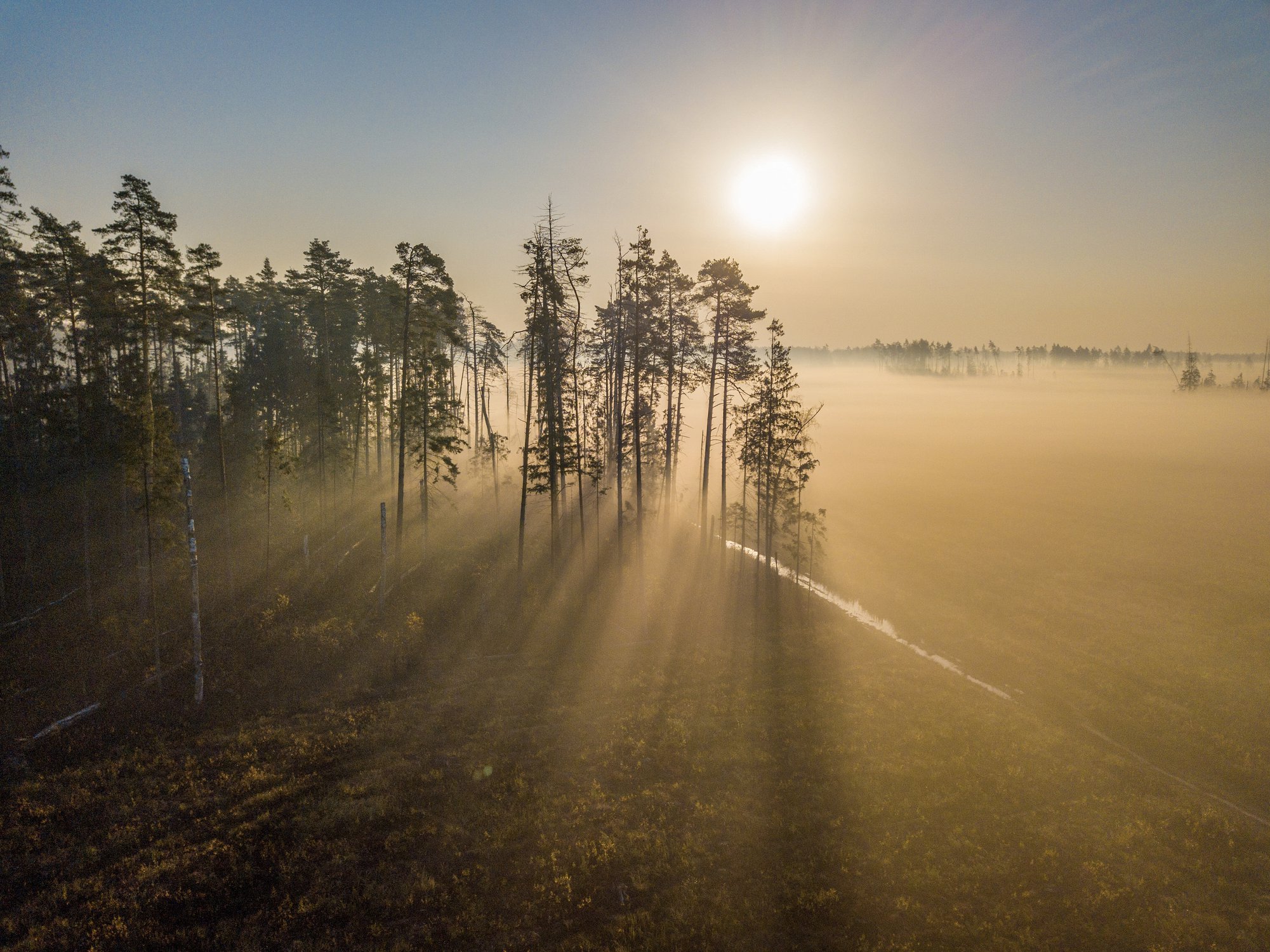 Начало нового дня