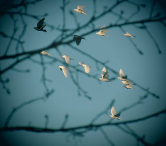 Трещины на небе