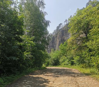 Доргога к заповеднику