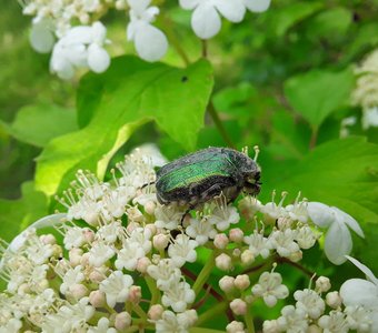 На ласковом весеннем солнышке.