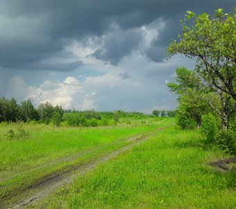 Перед дождём...