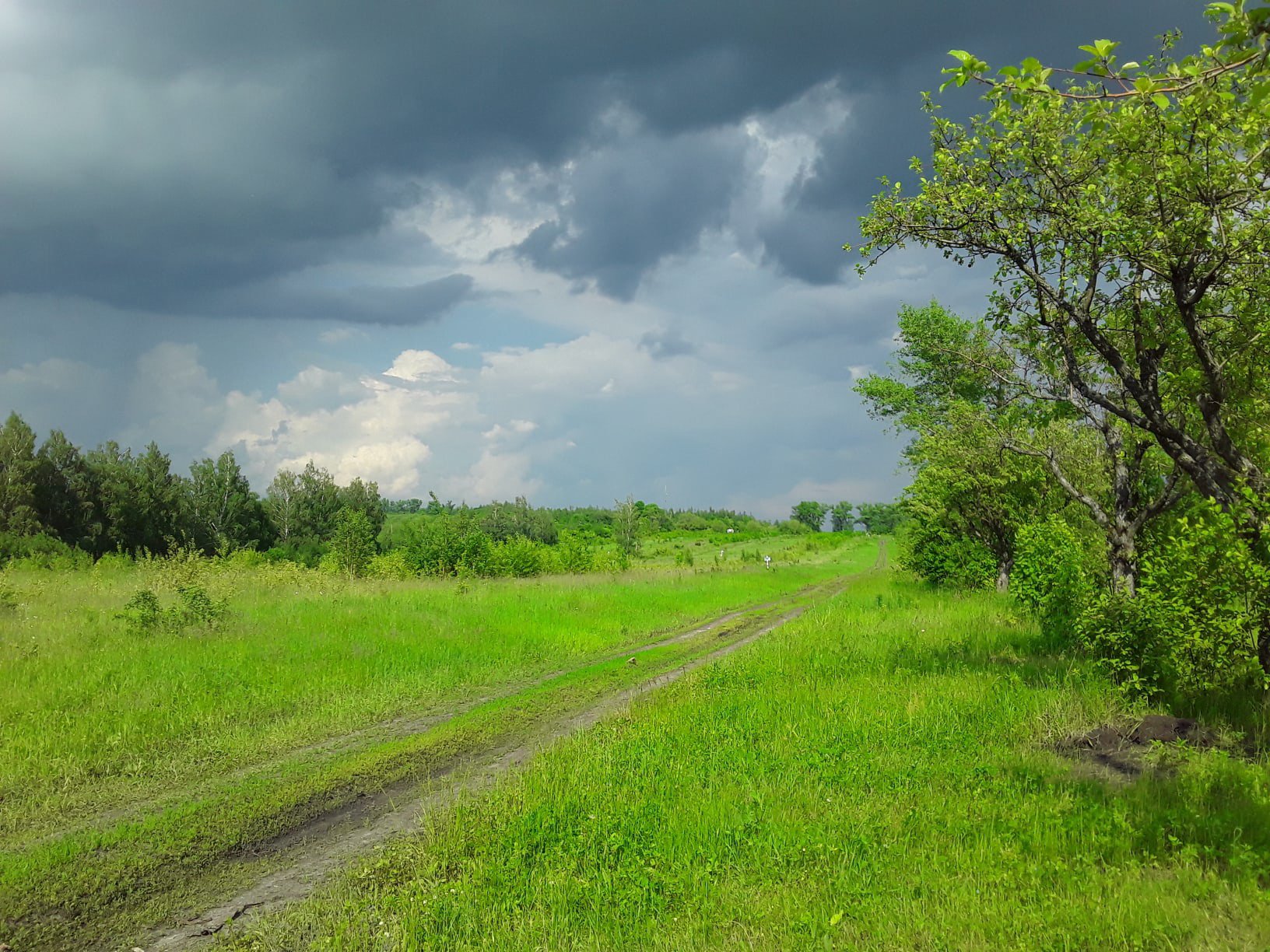 Перед дождём