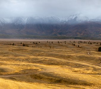 Гиганская рябь течения в Курайской степи