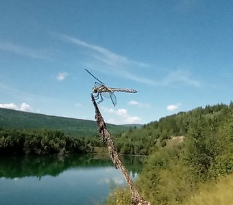Озеро возле Кяхты, Бодайбинский район.