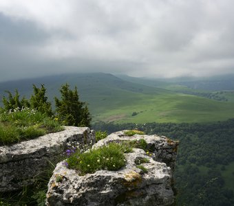 Приближение бури