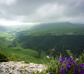 Перед грозой