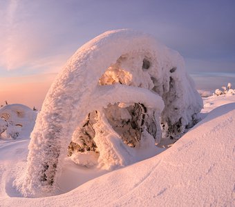 Нежный, но морозный рассвет