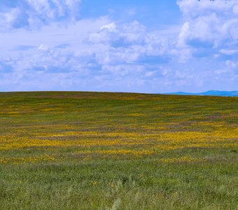 Хакасская степь