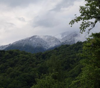 Абхазия. Горы.