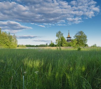 Тишина в зелёном