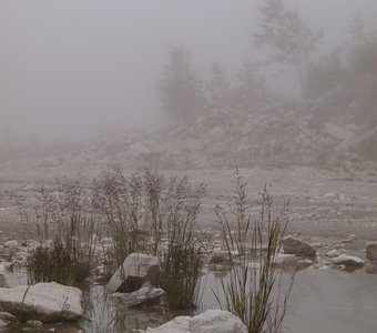 Таёжный туман