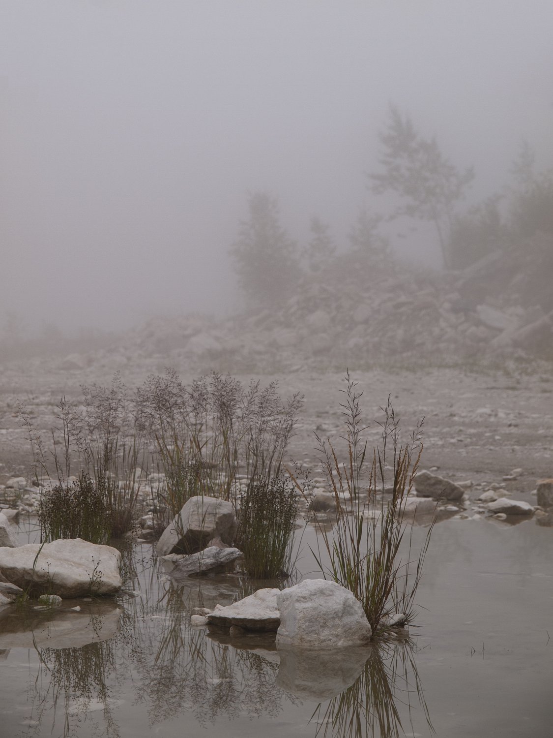 Таёжный туман