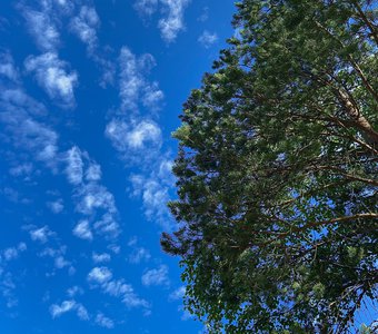 Сегодня небо заглянуло мне в глаза