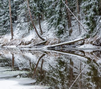 Зеркало зимней реки.