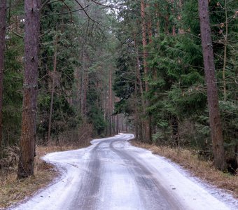 Белая дорога.