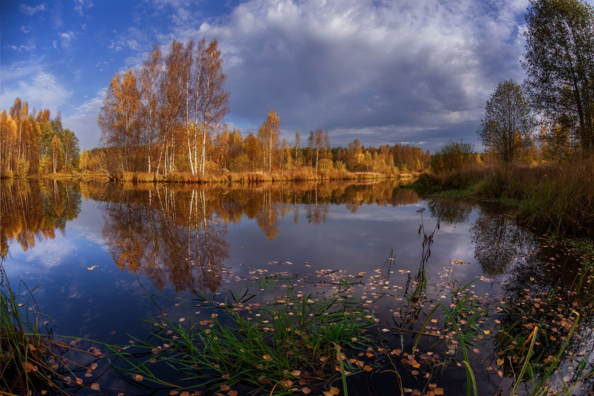 Тихая осень. Фотограф Марина Мурашова. Устюжна осень. Пейзаж Череповец река.