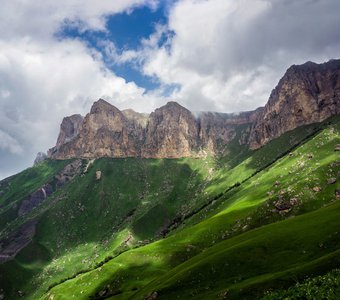 Голубь мира