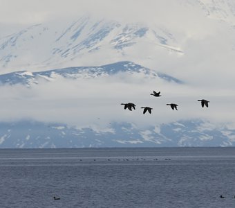 Ольская лагуна