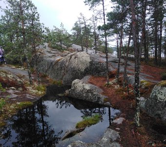 Остров Койонсаари