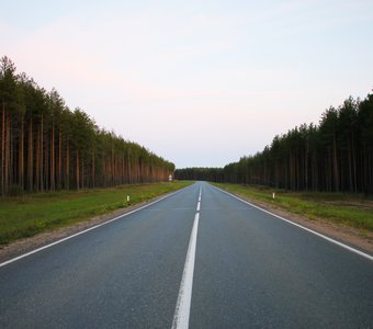 Трасса на Сыктывкар