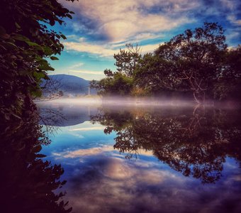 Туманы над рекой