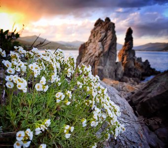 Кекуры Два брата