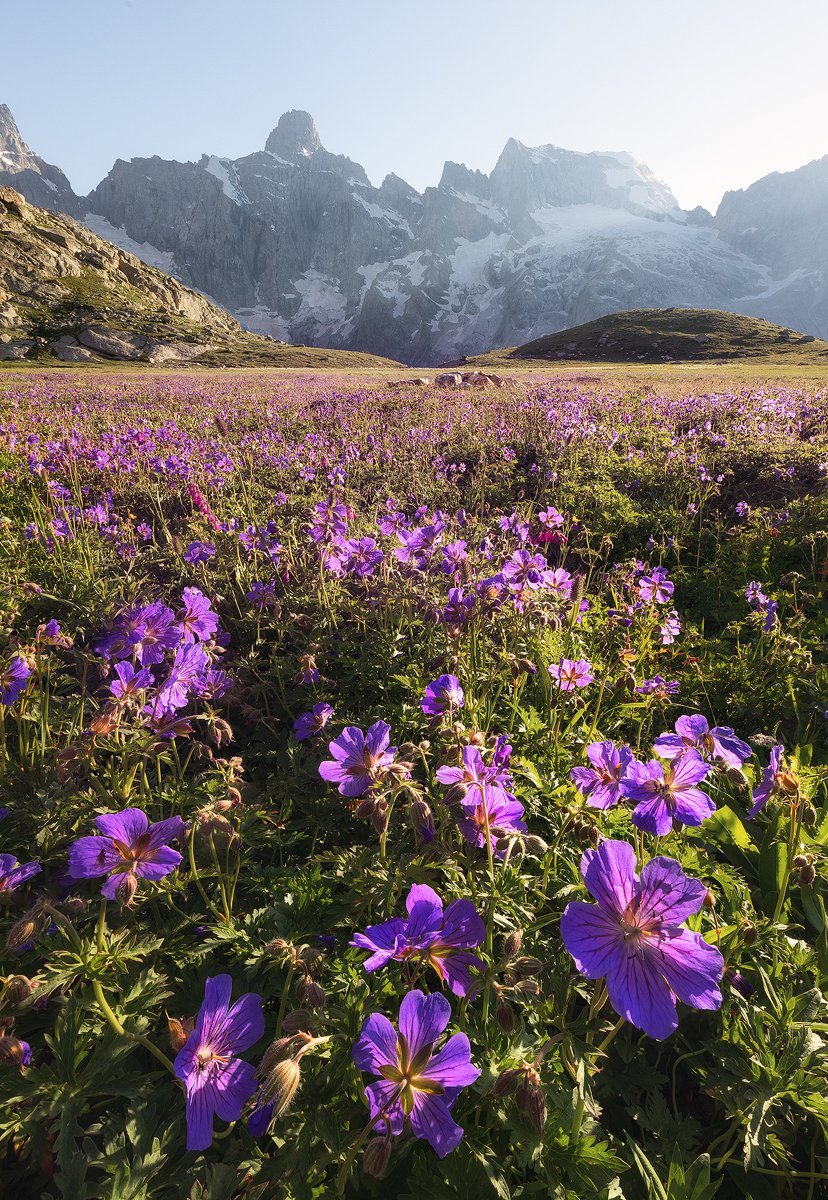 Цветущие долины Кавказа