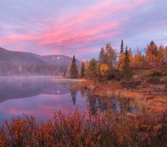 Краски природы